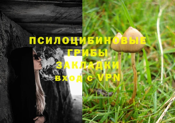 эйфоретик Беломорск