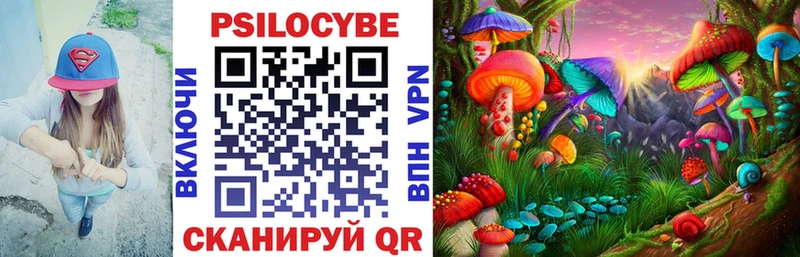 Псилоцибиновые грибы GOLDEN TEACHER  Афипский 